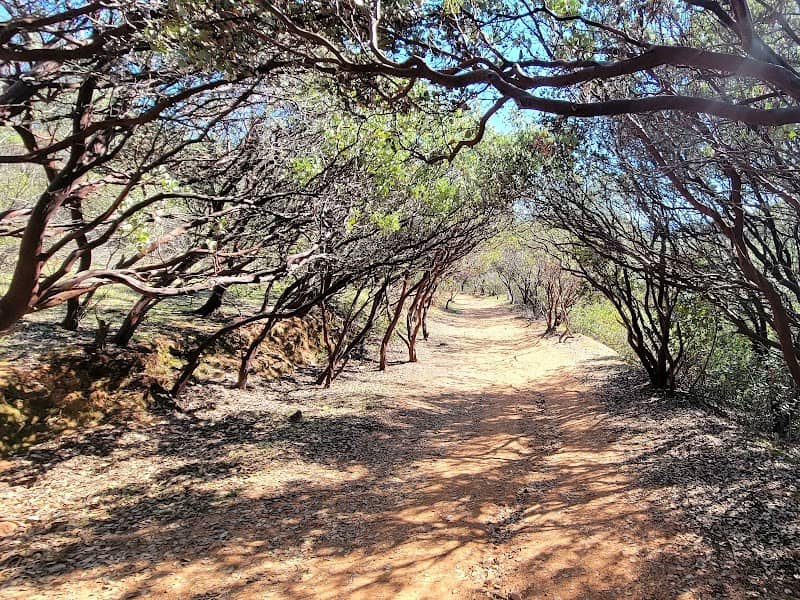 Dragoon Gulch Trail Head - Image 1