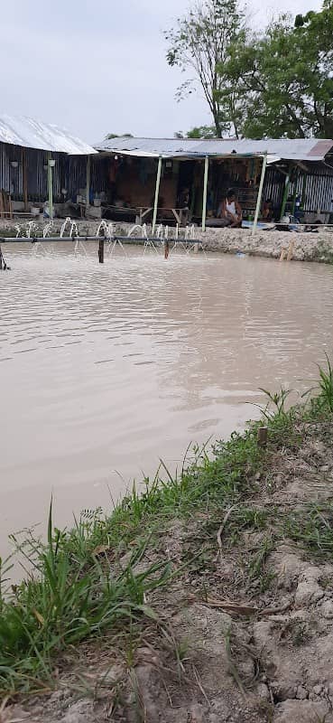 Kolam Pancing Borsac - Image 1