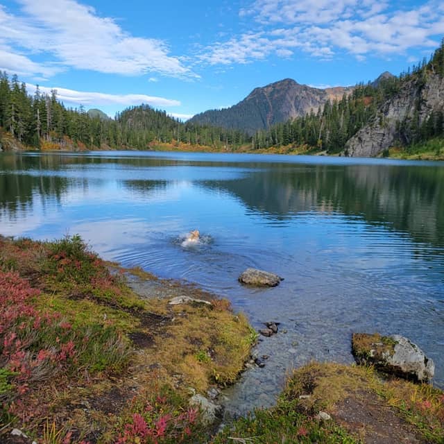 Noisy-Diobsud Wilderness - Image 3