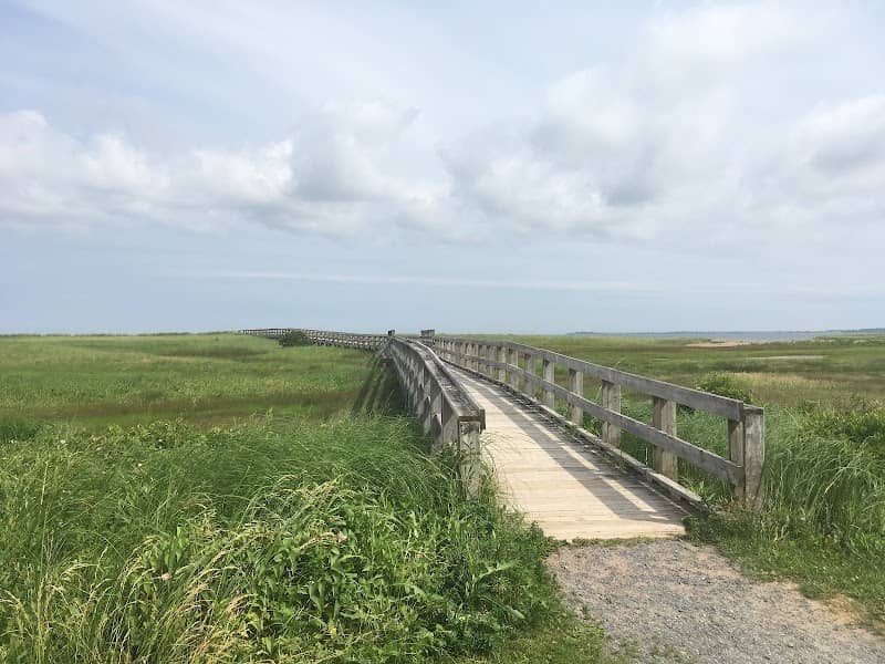 Rushton's Beach Provincial Park - Image 1