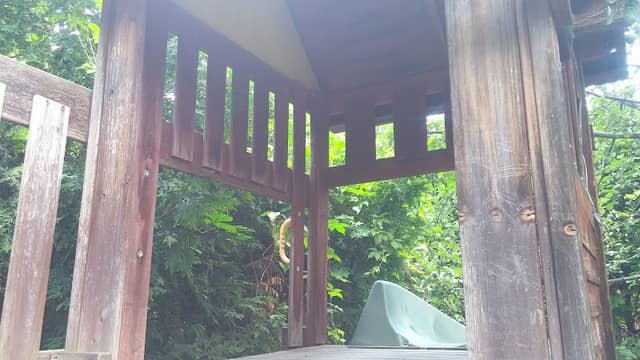 Maisonneuve Park - Image 2