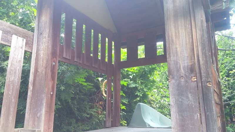 Maisonneuve Park - Image 2