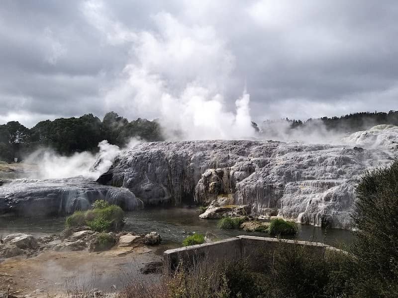 Pohutu Geyser - Image 1