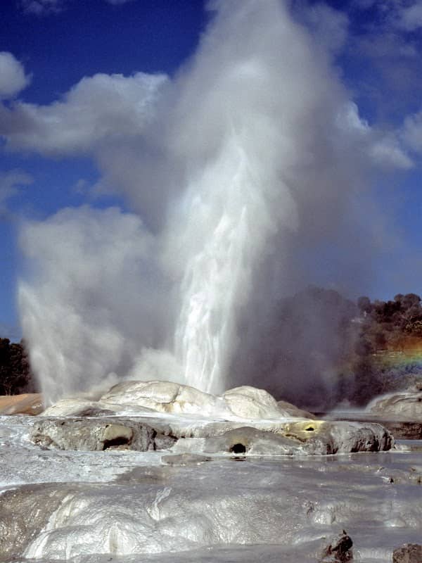 Pohutu Geyser - Image 2