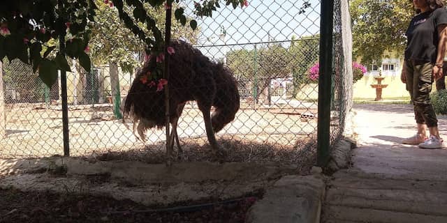 Animal Park - Image 1