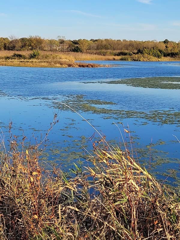 Evergy Wetlands - Image 2