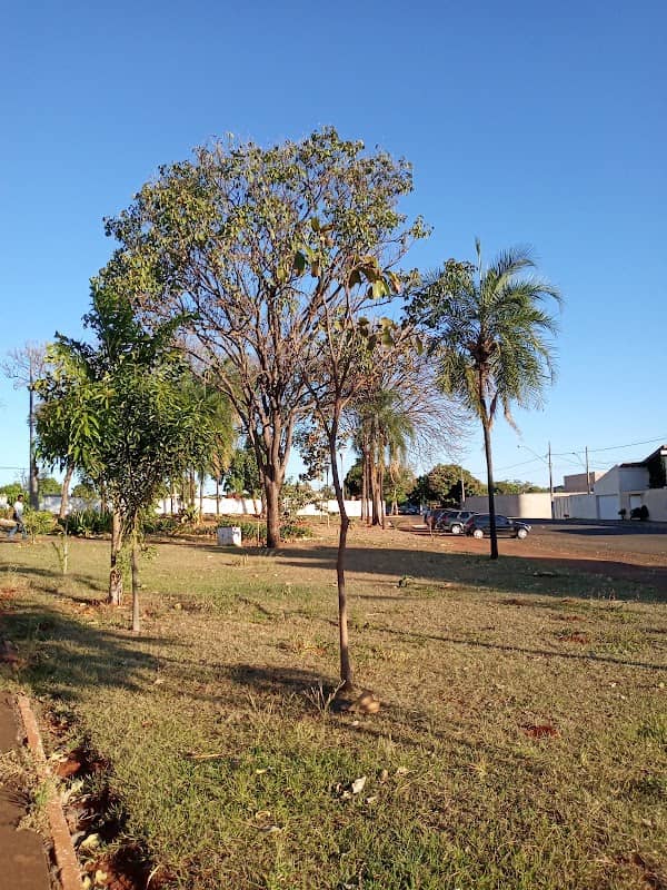 Praça Da Saudade - Image 1