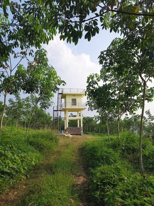 360* view point chokkana - Image 1