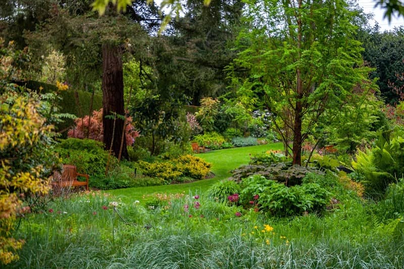 PowellsWood Garden - Image 1