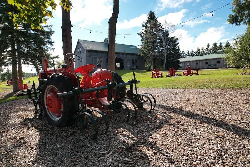 Elliott Tree Farm: Traditional Family Christmas Tree & Maple Sugar Shack Experiences - Image 1
