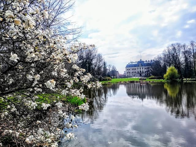 Castle park - Image 1