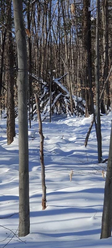 Vallon Park - Image 1