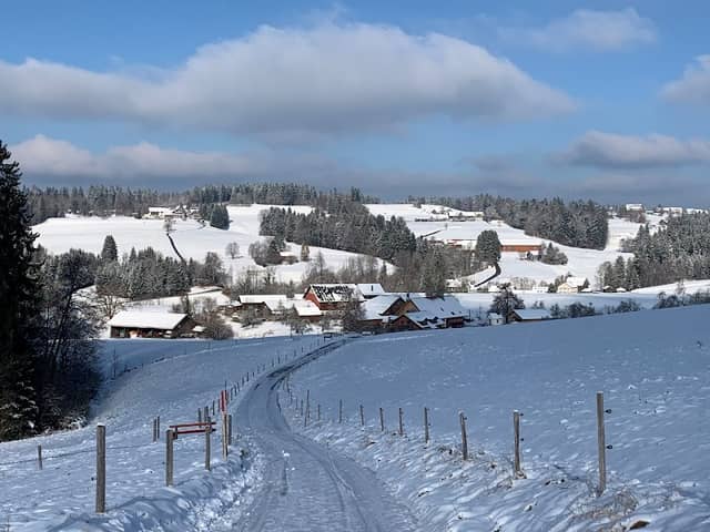 Weg zum Scheidegg Wasserfall - Image 1