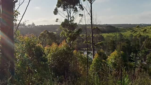 Amalinda Nature Reserve - Image 1