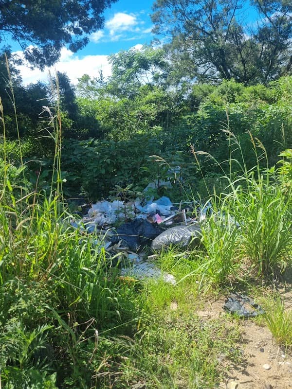 Amalinda Nature Reserve - Image 2