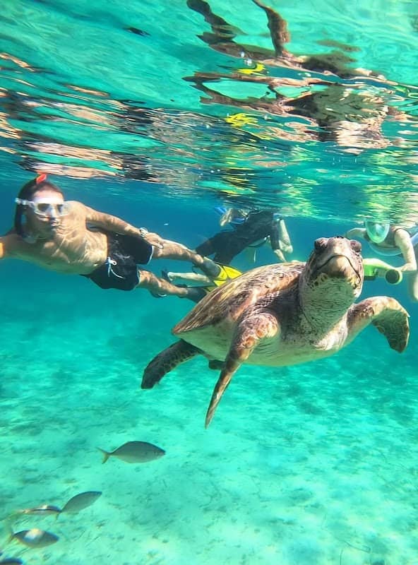 Sea Adventure & Activities - Image 1