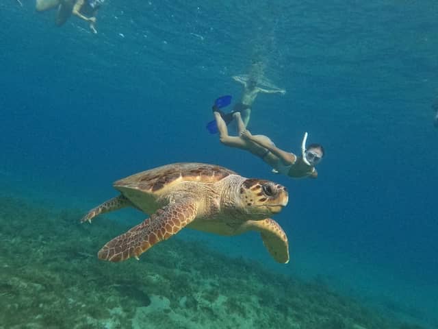 Sea Adventure & Activities - Image 2