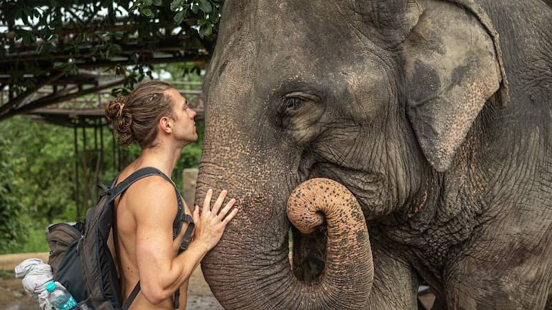 Samui Elephant Kingdom Sanctuary - Image 1