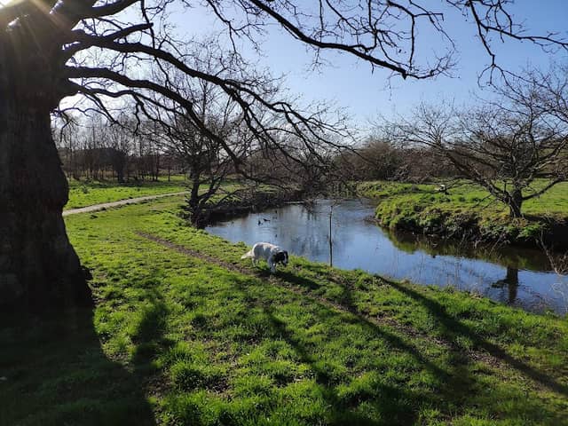 Shepherd Meadow Nature Reserve - Image 2