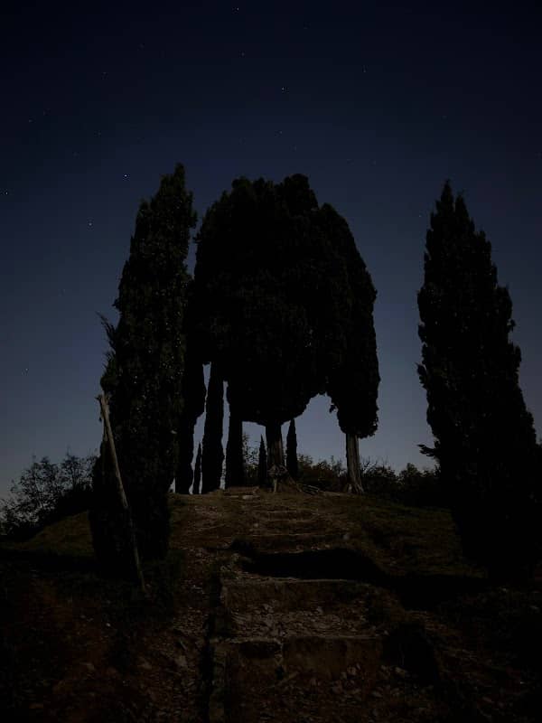 Prato Magro Monte di Brianza - Image 3