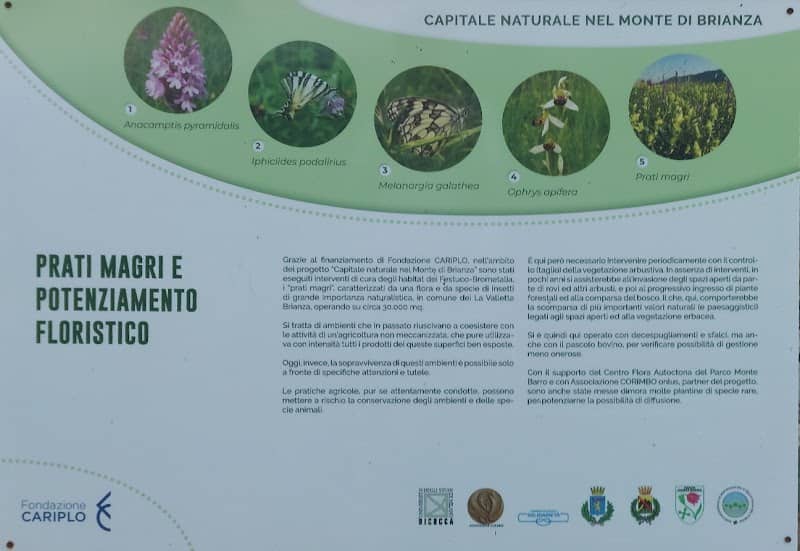 Prato Magro Monte di Brianza - Image 2