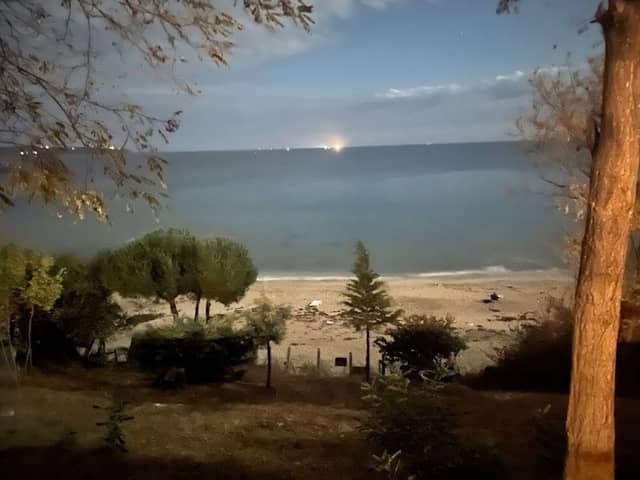 İğneada Orman İşletme Şefliği - Image 1