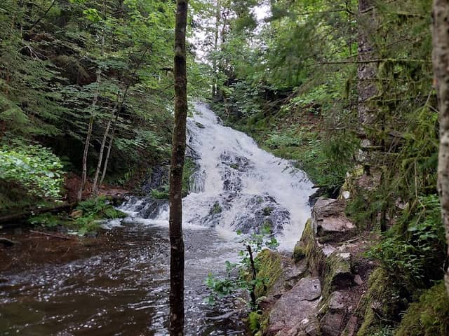 Cascade de Retournemer - Notre Dame des Neiges - Image 1