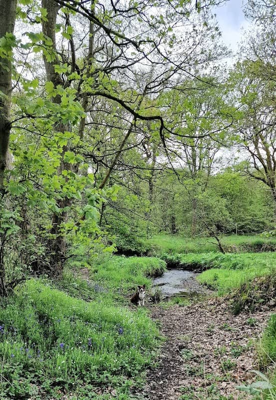 Tanfield Marsh wildlife reserve, tanfield lea side - Image 1