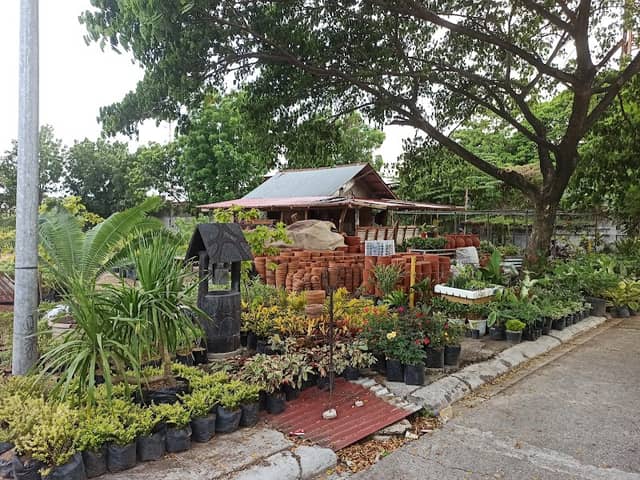 Wayside Garden - Image 1