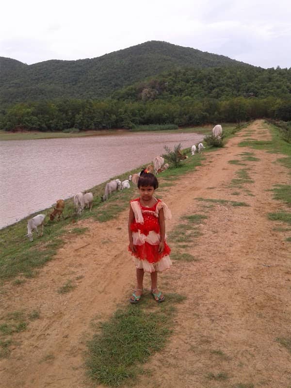 Sulia Dam - Image 1