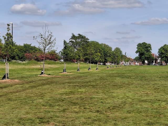 Hearsall Common - Image 1