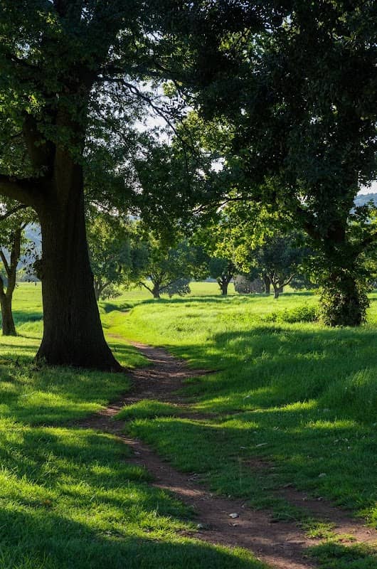Bezuidenhout Park - Image 2