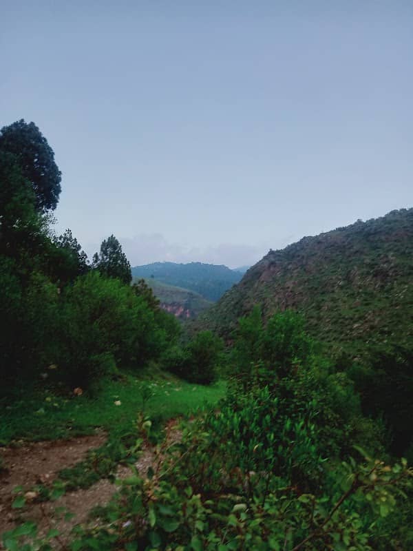 Peer Khan Colony - Image 1