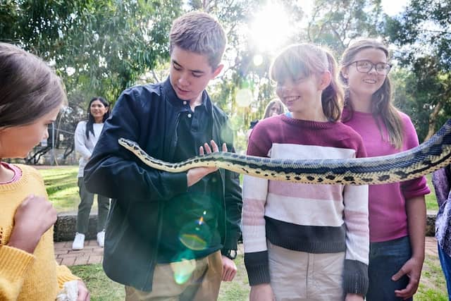 Bunbury Wildlife Park - Image 1
