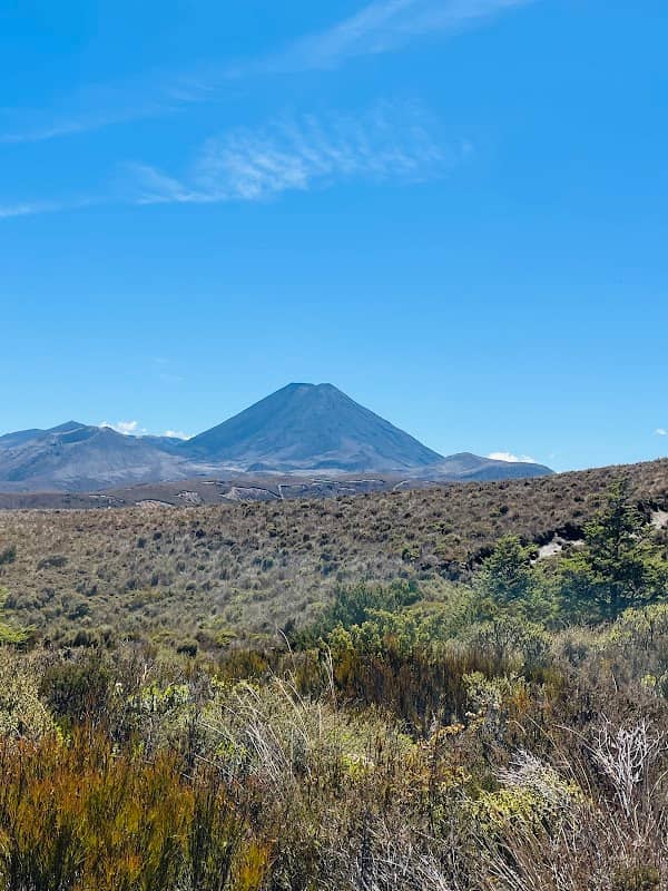 Ridge Walking Track - Image 1