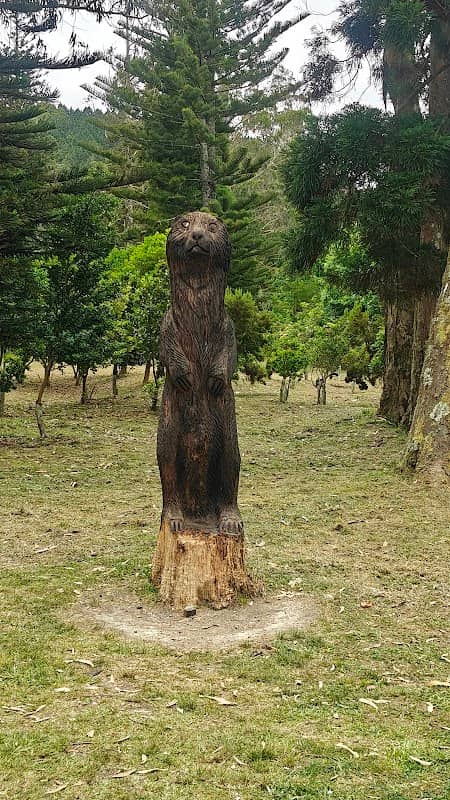 Castor das Furnas - Image 1