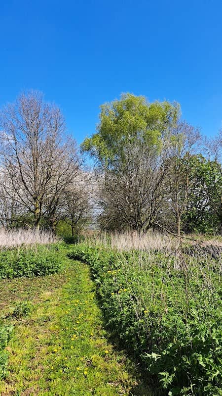 Holbrook Nature Reserve - Image 1
