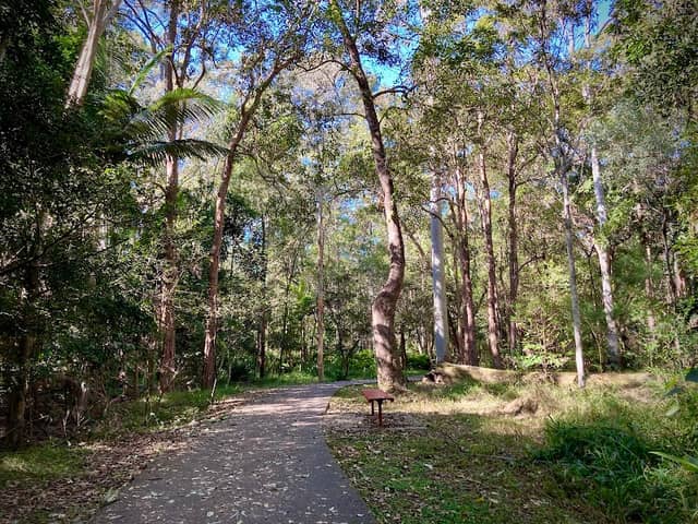 Cornubia Forest Park - Image 2