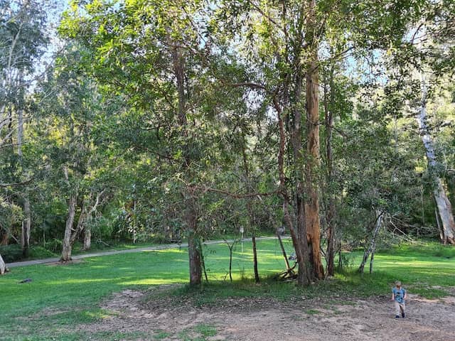 Cornubia Forest Park - Image 1