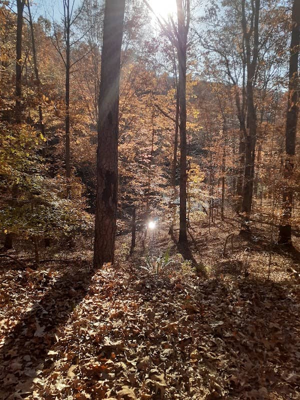 Linwood Nature Preserve - Image 1