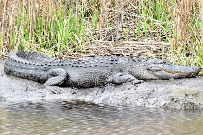 Donnelley Wildlife Management Area - Image 3