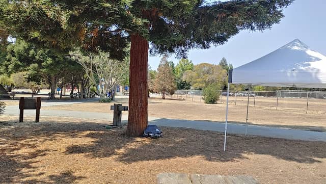 Fir Group Picnic Area - Image 1