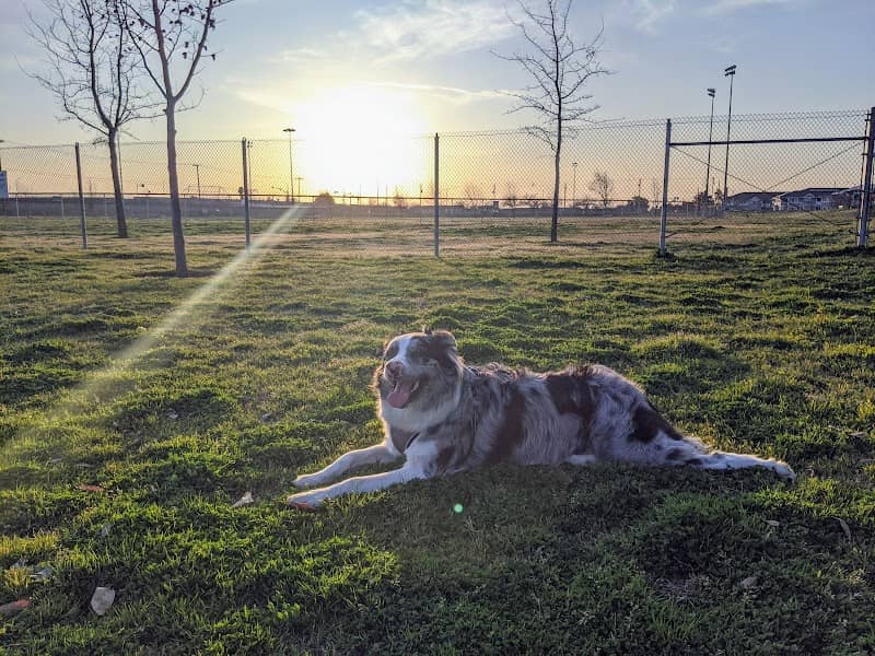 Waggin' Tails Dog Park - Image 2