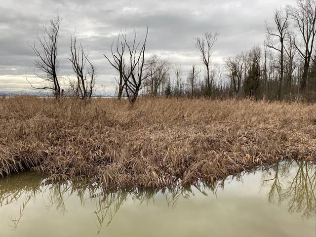 Aahorn-Steg - Image 1