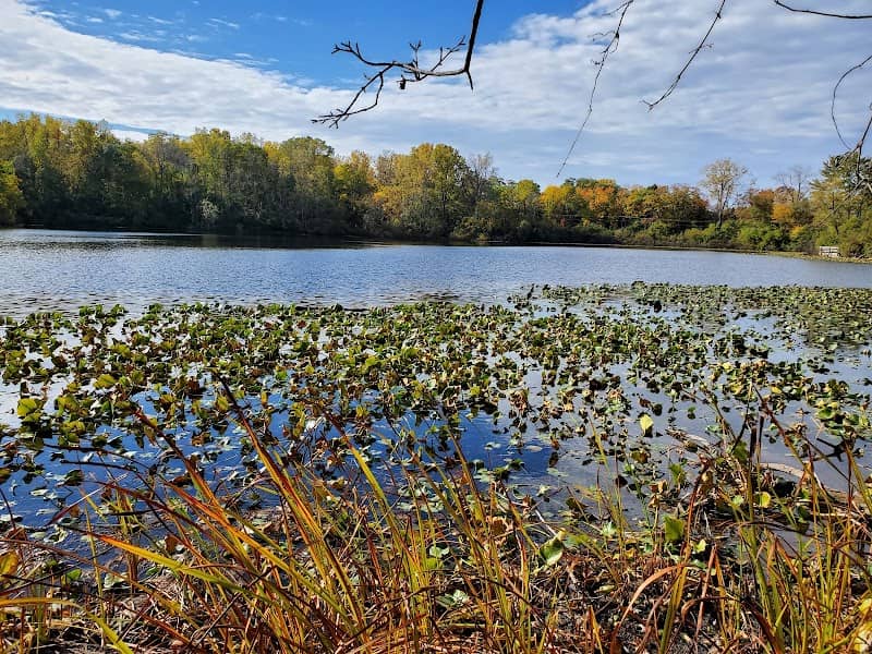 Lakewood Nature Area - Image 1