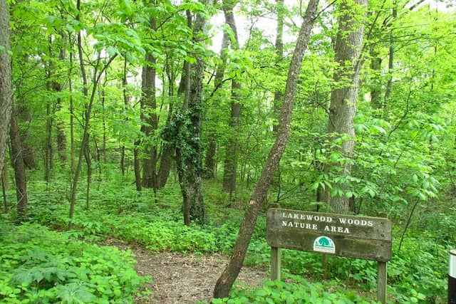 Lakewood Nature Area - Image 2