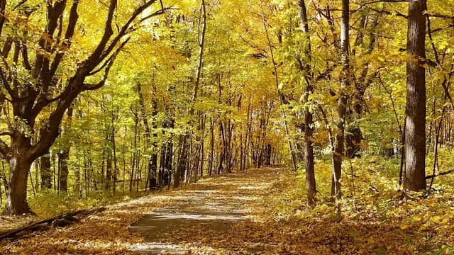Clearwater Mills Park - Image 1