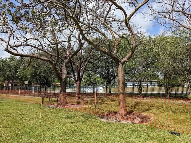Mary Saunders Park - Image 1