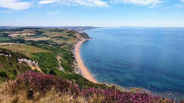 National Trust - Golden Cap - Image 1
