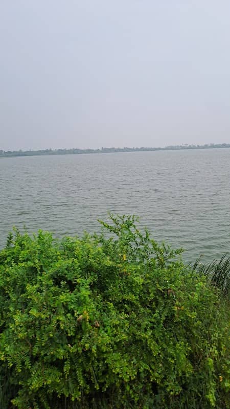 Nathapettai Lake - Image 1